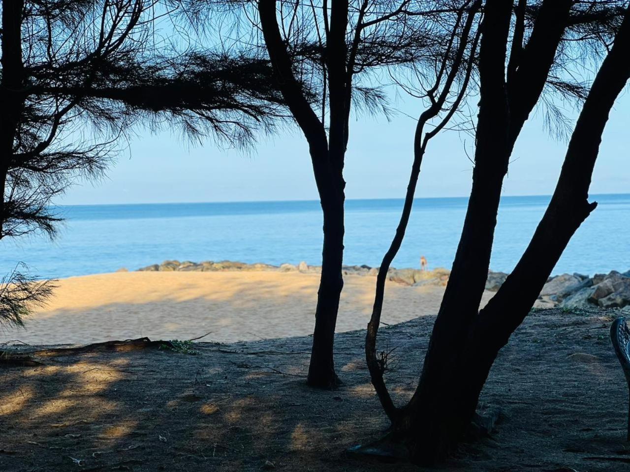 Omeesha Beach Hotel Kalpitiya Extérieur photo